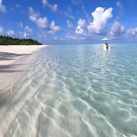 Blue Paradise Apartment